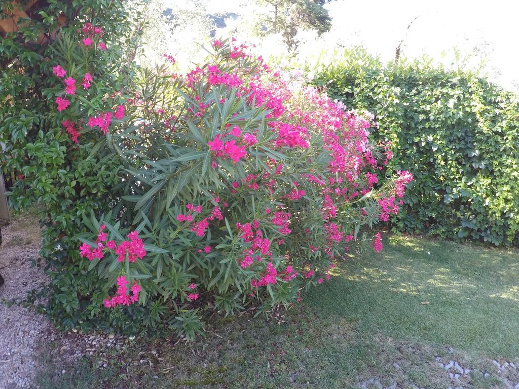 Casa Vacanza Malcesine Dış mekan fotoğraf