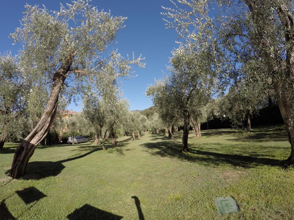 Casa Vacanza Malcesine Dış mekan fotoğraf